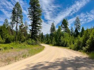 3124 Orient Cutoff Rd, Orient, WA 99141