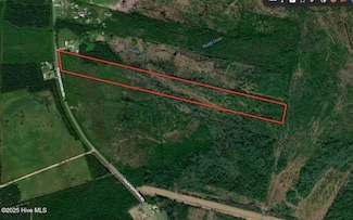 28.6 Acres Fountaintown Rd, Beulaville, NC 28518