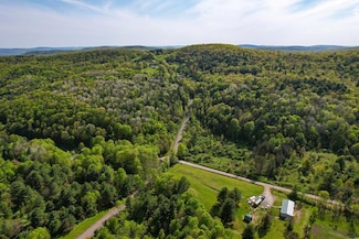300 Miller Hollow Rd, Waverly, NY 14892