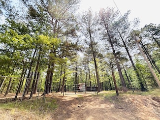 + - 49 Acres Attala County Ms, Kosciusko, MS 39090