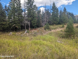 NKA Founders Rd, Emida, ID 83861