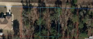 09304-006-00 NE 16 Ln, Williston Highlands, FL 32696