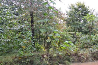 1 Boone Hollow Rd, Battletown, KY 40104