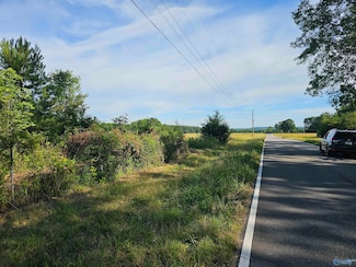 20 Acres #2 Lee Rd E, Falkville, AL 35640