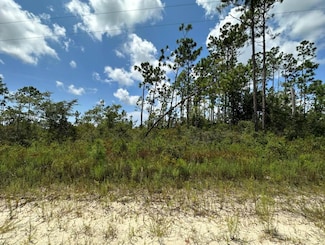 7 Whippoorwill Ave, Wewahitchka, FL 32465