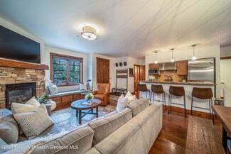 503 W Main St Unit B101, Aspen, CO 81611