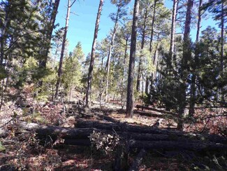 107 Gemini Rd Unit 23,28, Timberon, NM 88350