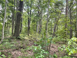 17 Old Mill Rd, Providence, NC 27315