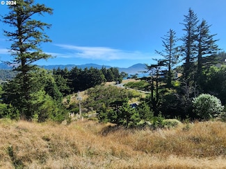 0 Tichenor Cemetery Rd Unit 24239824, Port Orford, OR 97465