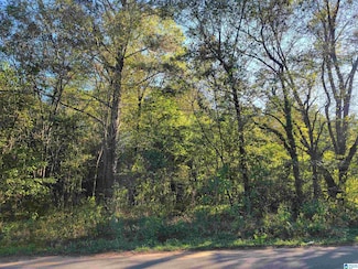 308 Pine St SW, Bessemer, AL 35022