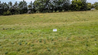 0 Cr 252 - Tract 1 Unit 422793, Fulton, MO 65251