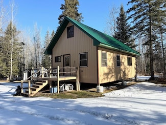 TBD Tangnes Forest Rd, Southeast Roseau Unorg. Terr., MN 56673