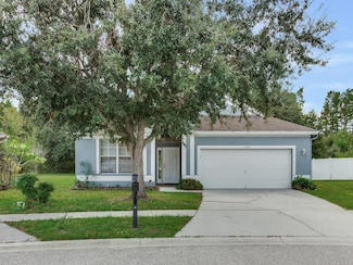 17433 Lawn Orchid Loop, Land O Lakes, FL 34638