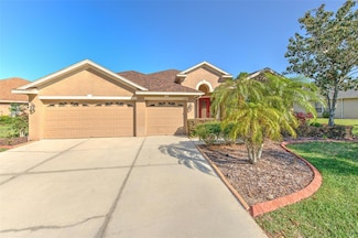 1408 Brilliant Cut Way, Valrico, FL 33594