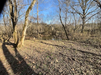 40 acres Quinton Rd, Rocky Face, GA 30740