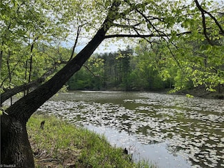 0 Sheets Trail Unit 1178025, Salem Chapel, NC 27019