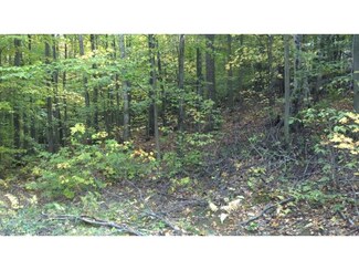 Lot 87 Dodge Rd, Groton, NH 03241