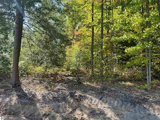 4735 Leaning Birch Dr, Traverse City, MI 49685