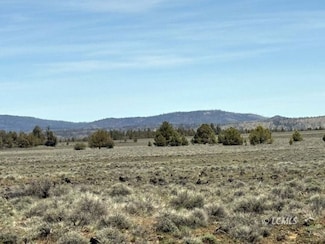 0 Oregon Pines Rd Unit 3007534, Beatty, OR 97621
