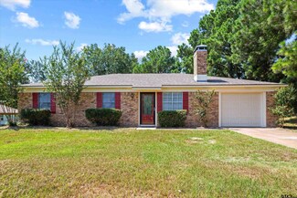 14295 County Road 1252, Tyler, TX 75709