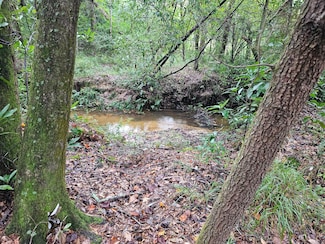 0 County Road 3336, Brundidge, AL 36010