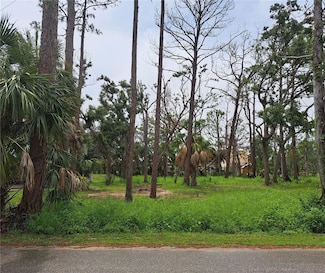 401 1st St NW Unit Lot 4, Steinhatchee, FL 32359
