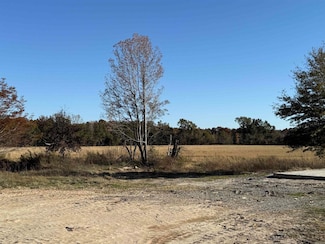 2220 Duck Levee Rd, Biggers, AR 72413