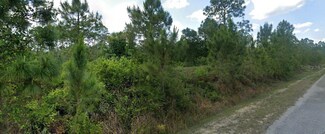 321 Grant Ave, Lehigh Acres, FL 33936