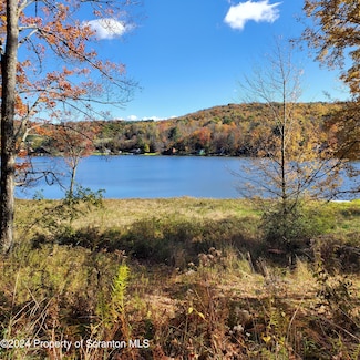 243 Upper North Lake Rd, Choconut Township, PA 18818