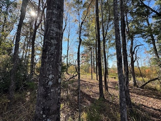 Tallapoosa Farm Rd, Camp Hill, AL 36850