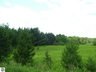 0 Bass Lake Rd Unit 1788216, Lupton, MI 48635