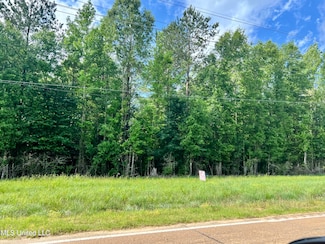 0 Lot 9 Hwy 24 Unit 4095671, Centreville, MS 39631