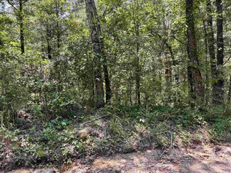 00 Bird Rd, Solgohachia, AR 72156