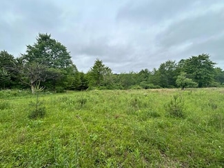 0 Airport Rd, Falls Creek, PA 15840