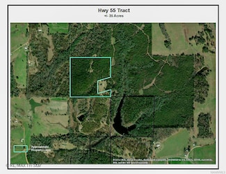 0 Highway 55, Dixons Mills, AL 36736