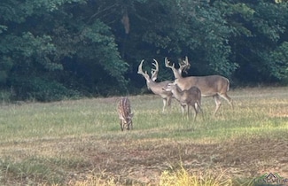 TBD Fm 805, Jefferson, TX 75657