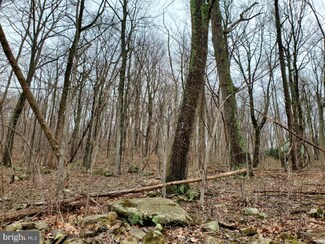 Lot 143 High Top Rd, Linden, VA 22642