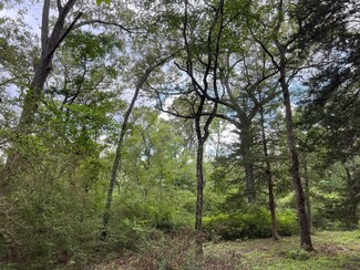 20 ac Cr 293, Oakwood, TX 75855
