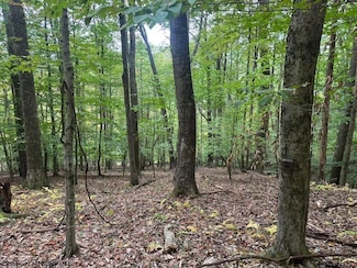 TBD Raccoon Run, Elkins, WV 26241