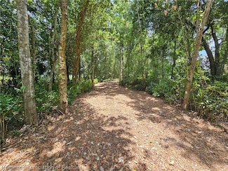 325 Debbie Ln, Avon Park, FL 33825