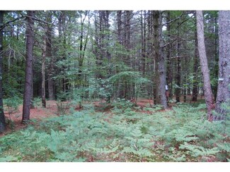 221 Locust Ln, Henniker, NH 03242