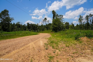 0 Pleasant Ridge Rd, Lexington, MS 39095