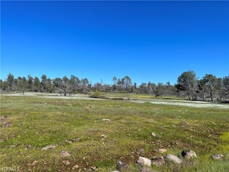 0 Lindenbaum Ln Unit SN23070415, Paradise, CA 95969