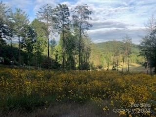 106 Silver Fox Cove, Asheville, NC 28805