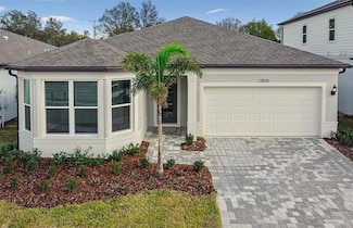 13808 Sunlight Meadow Dr, Riverview, FL 33578