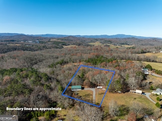 2865 Ada St, Blue Ridge, GA 30513