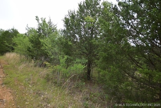 2 S 4503 Rd, Vian, OK 74962