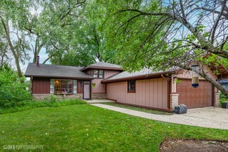 813 Menominee Dr, Lake In the Hills, IL 60156
