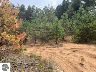 Parcel F-2 2 1 2 Rd, Wexford Township, MI 49620