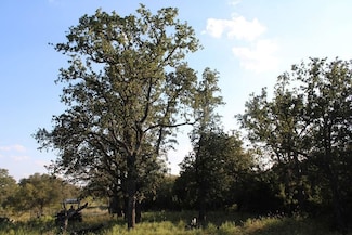 1121 County Road 381, Fredonia, TX 76842